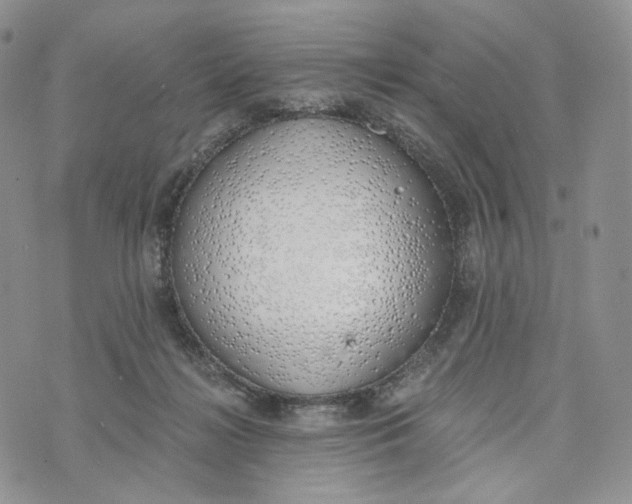 X0000072950268200608111633