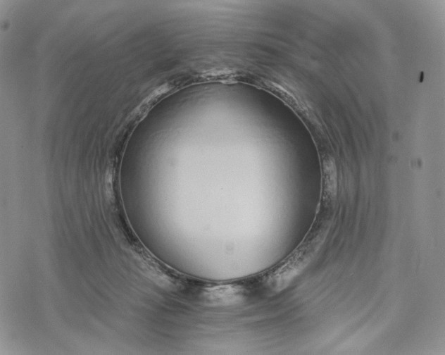 X0000072950269200608111633