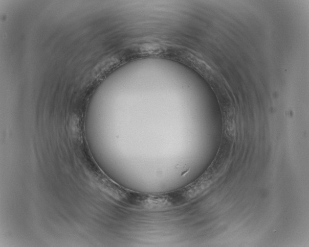 X0000072950270200608111633