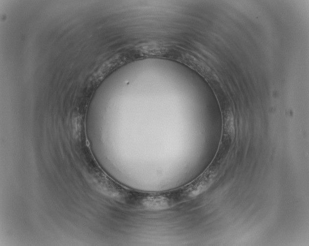 X0000072950271200608111633