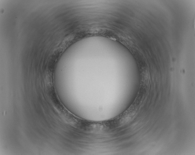 X0000072950272200608111633