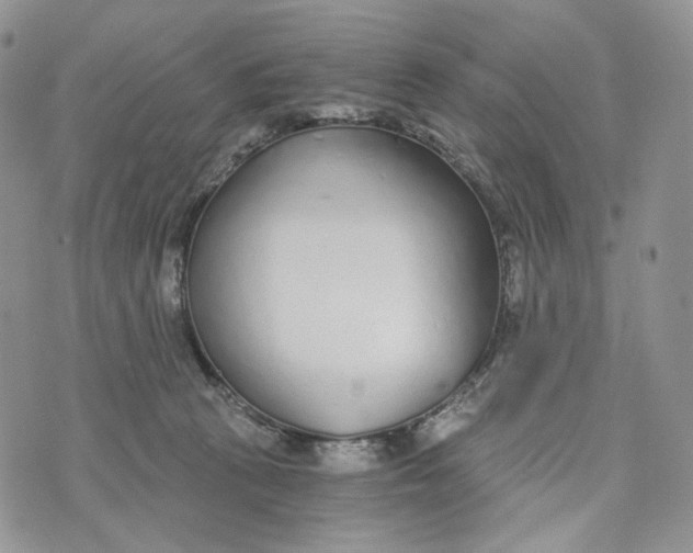 X0000072950273200608111633