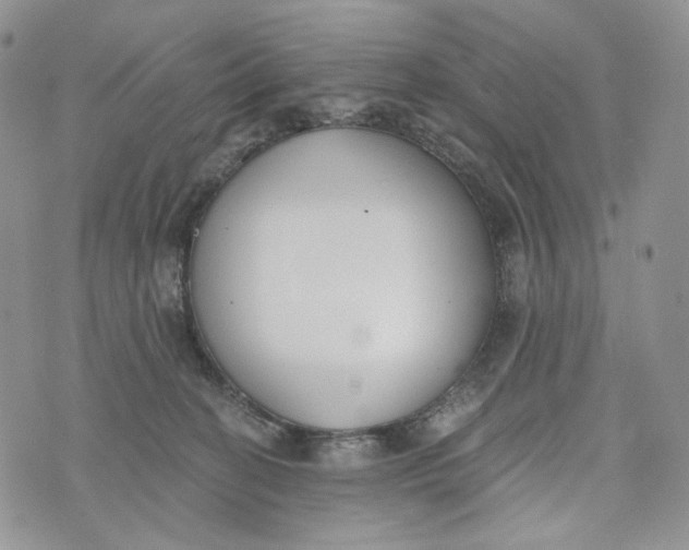 X0000072950274200608111633