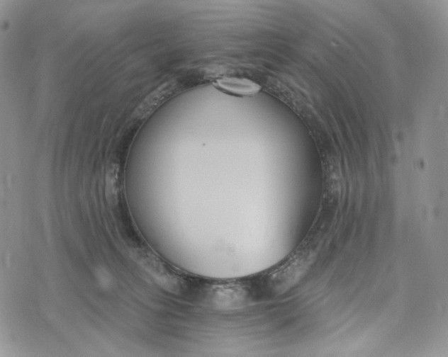 X0000072950275200608111633