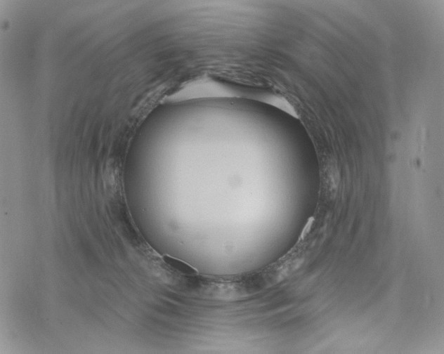 X0000072950276200608111633