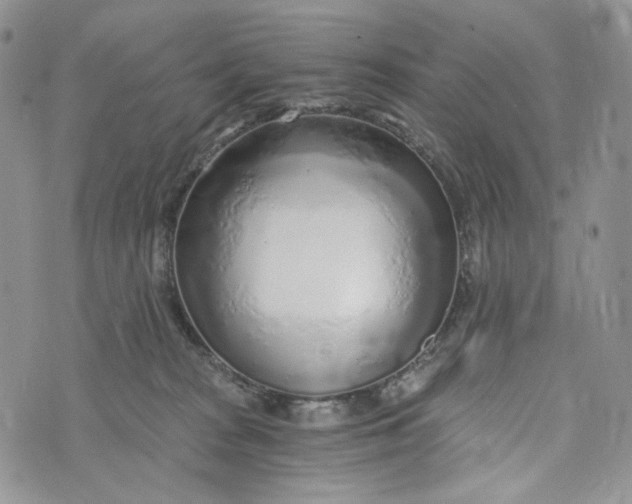 X0000072950277200608111633