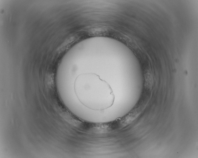 X0000072950278200608111633