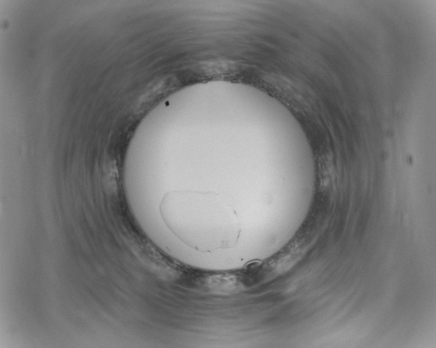 X0000072950279200608111633