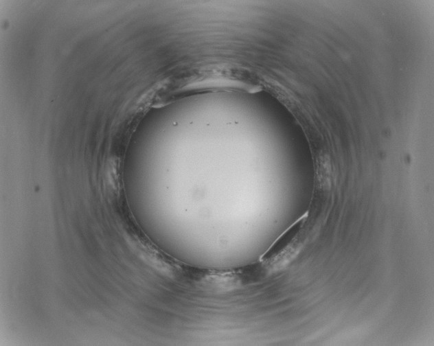 X0000072950280200608111633