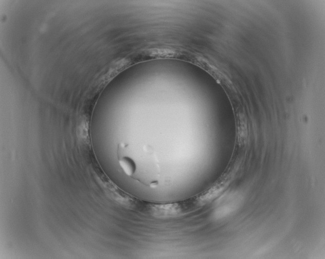 X0000072950281200608111633