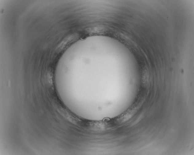 X0000072950282200608111633