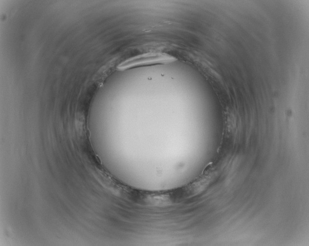 X0000072950283200608111633