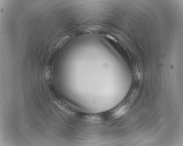 X0000072950284200608111633