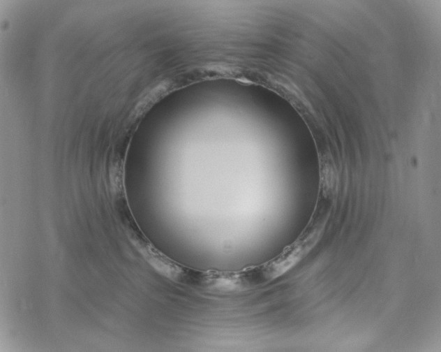 X0000072950285200608111633