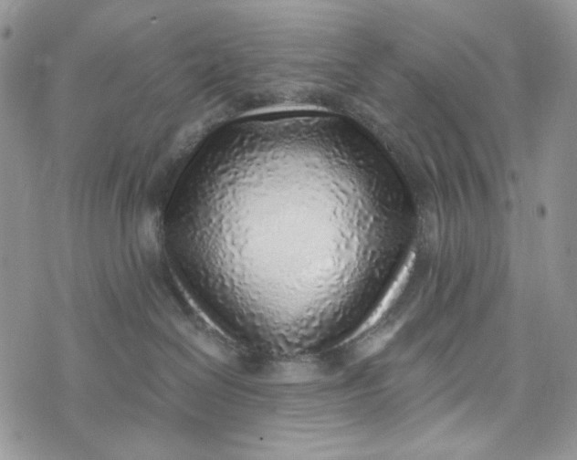 X0000072950286200608111633