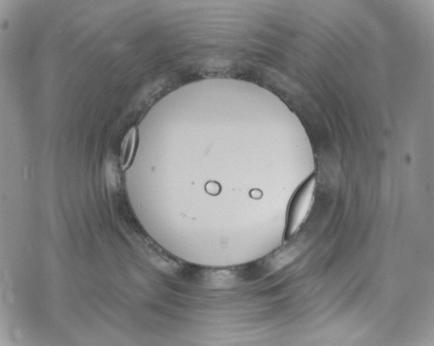 X0000072950287200608111633