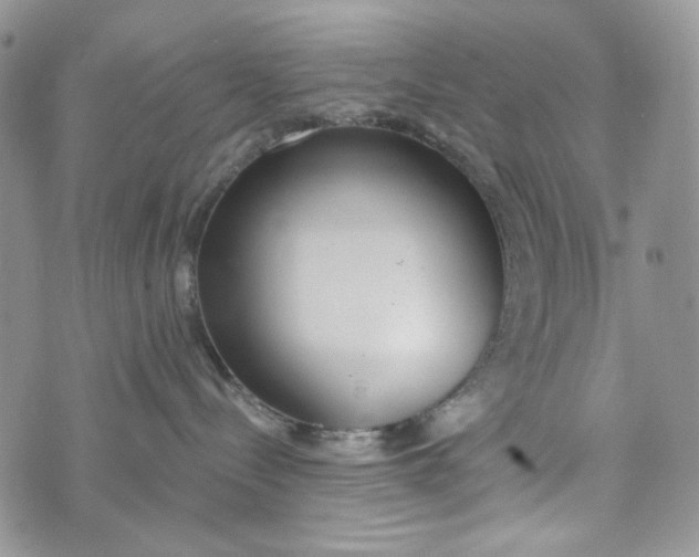 X0000072950288200608111633