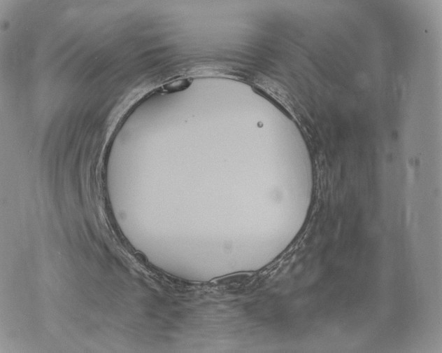 X0000072950289200608111633