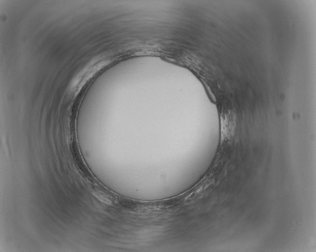 X0000072950291200608111633