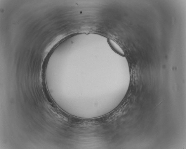 X0000072950292200608111632