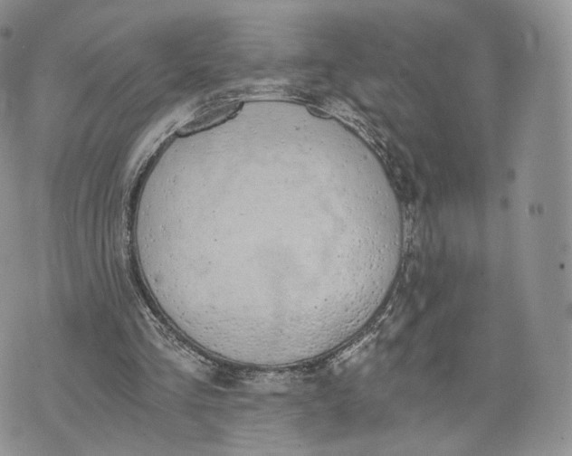 X0000072950293200608111632