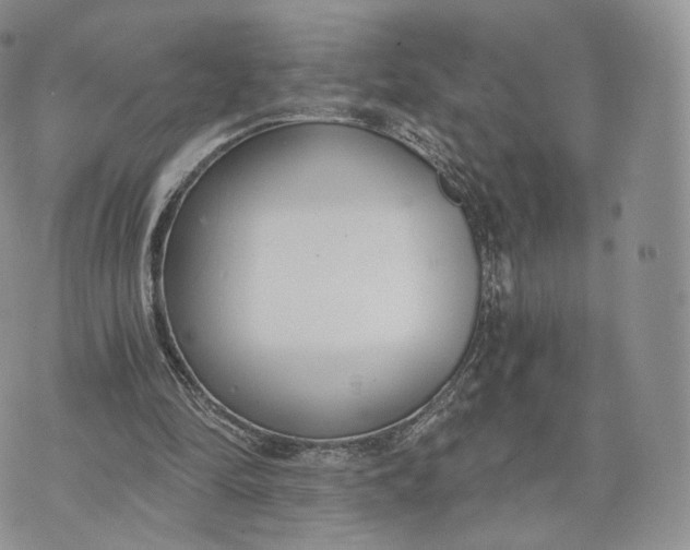 X0000072950294200608111632