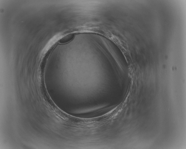 X0000072950295200608111632