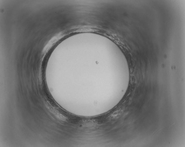 X0000072950296200608111632