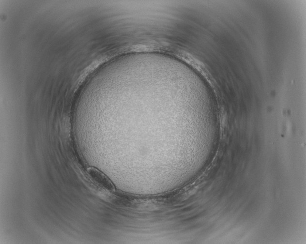 X0000072950297200608111632