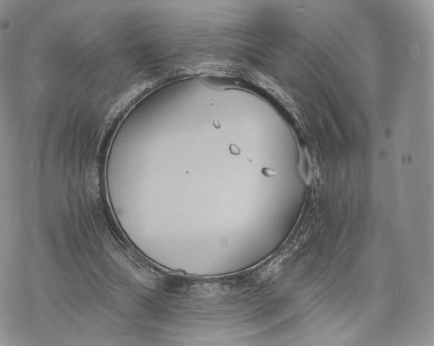 X0000072950298200608111632