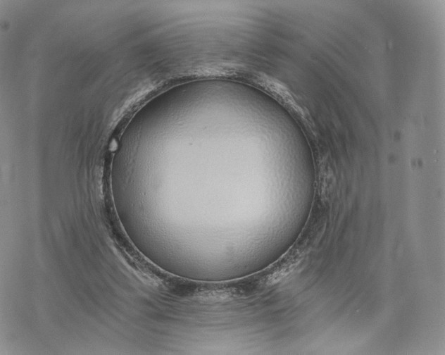 X0000072950299200608111632