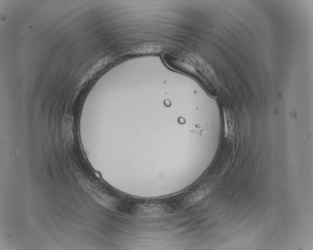 X0000072950300200608111632