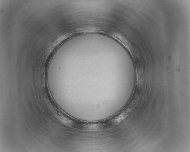 X0000072950301200608111632