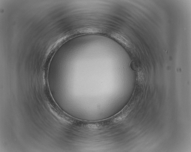 X0000072950302200608111632