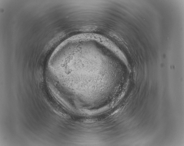 X0000072950303200608111632