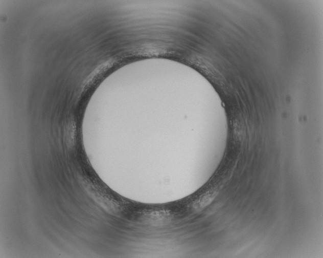 X0000072950304200608111632