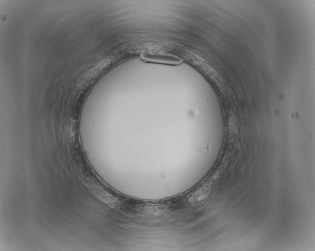 X0000072950305200608111632