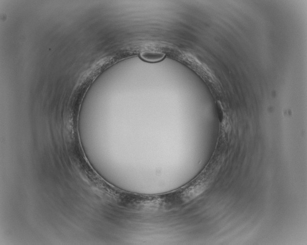 X0000072950306200608111632