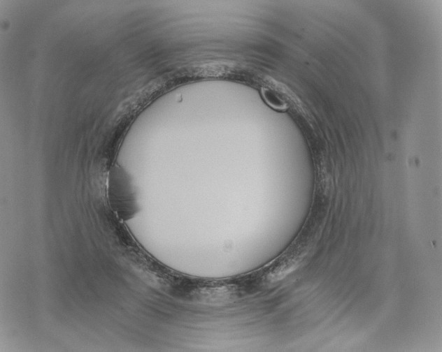 X0000072950307200608111632