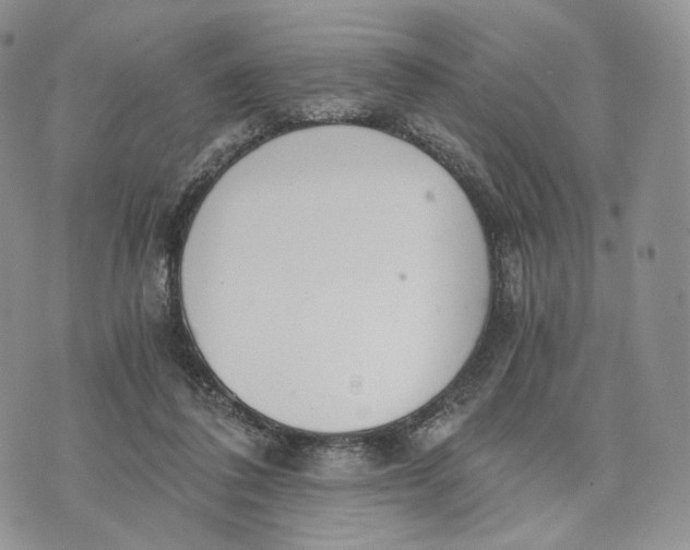 X0000072950308200608111632