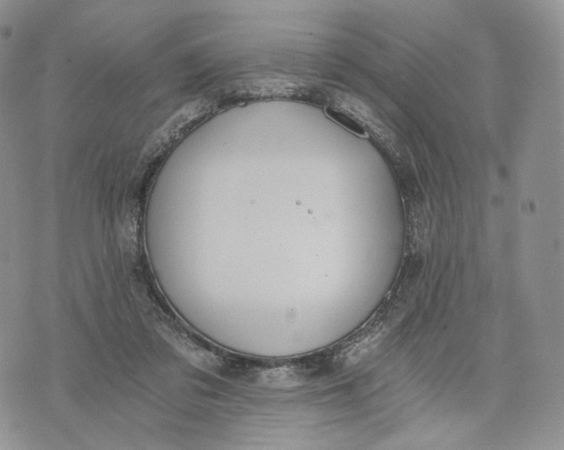 X0000072950309200608111632