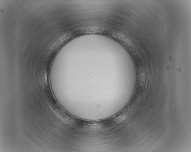 X0000072950310200608111632