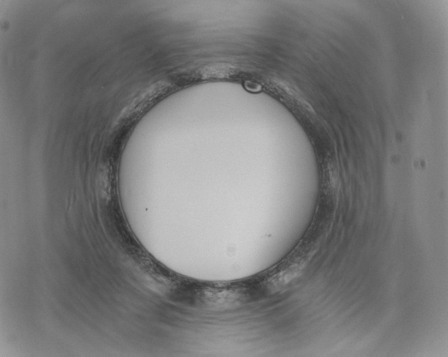 X0000072950311200608111632