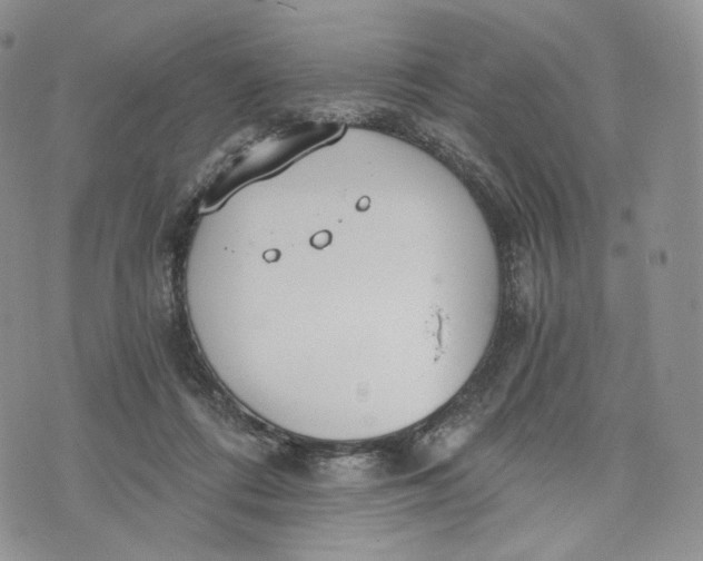 X0000072950312200608111632