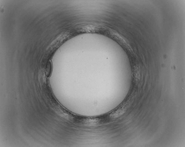 X0000072950313200608111632