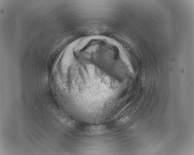 X0000072950314200608111632