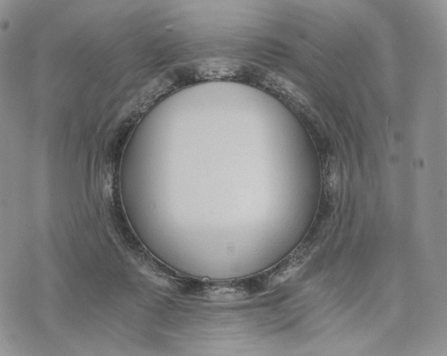 X0000072950315200608111632