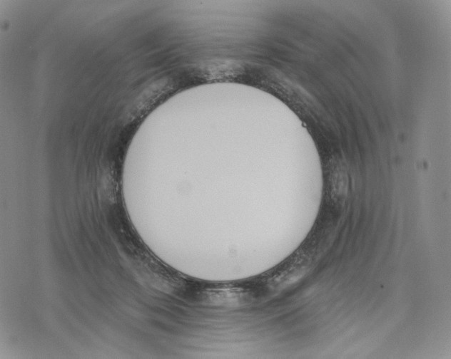 X0000072950316200608111632