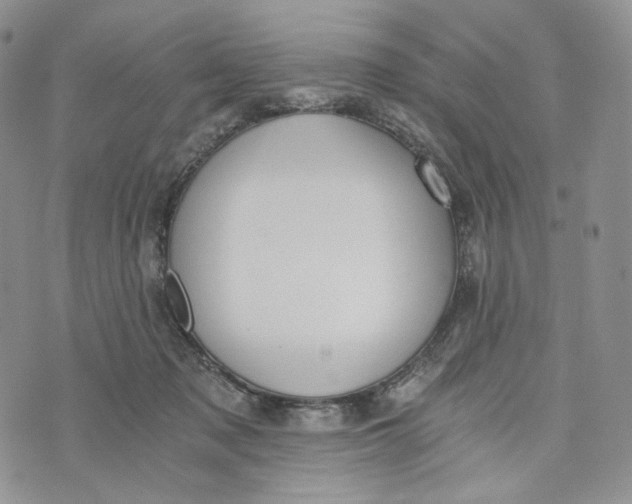 X0000072950317200608111632