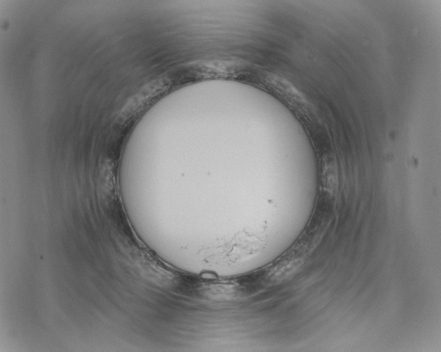 X0000072950318200608111632